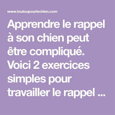 Apprendre Le Rappel à Son Chien Peut être Compliqué Voici 2 Exercices