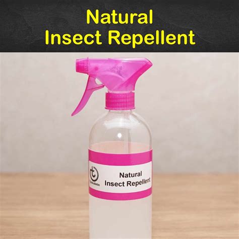 20 Simple Organic Insect Repellents