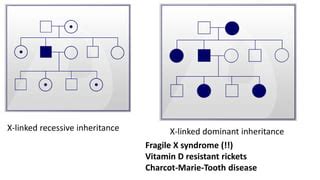 Modes Of Autosomal And Sex Linked Inheritance Pdf