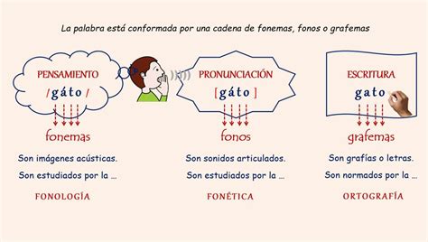 O Que é Fonema E Grafema BRAINCP