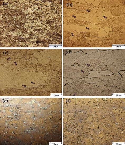 The Microstructure Of Deformed Specimens Under The Strain Rate Of 01