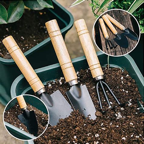 10Pcs Tuin Planten Tool Set Bonsai Succulent Trans Grandado