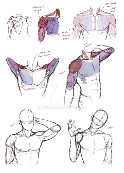 Shoulder Tips By Angelkite On Deviantart