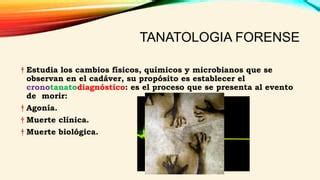 TANATOLOGIA FORENSE Pdf