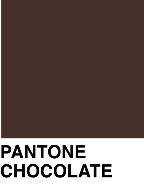 Chocolate Color Swatch | Brown Pantone