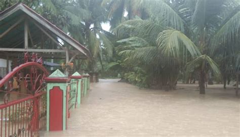 Banjir Dan Pohon Tumbang Di Padang Pariaman Satu Orang Dilaporkan