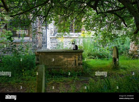 Cambridge Street Photography Stock Photo Alamy