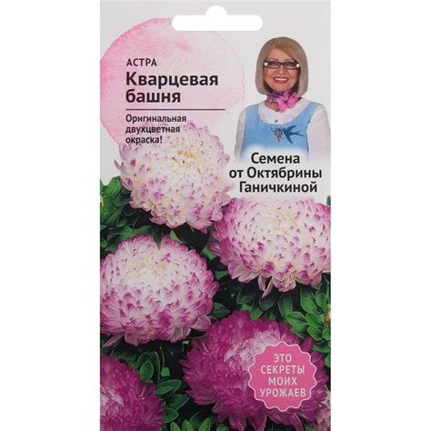 Астра кварцевая (58 фото)