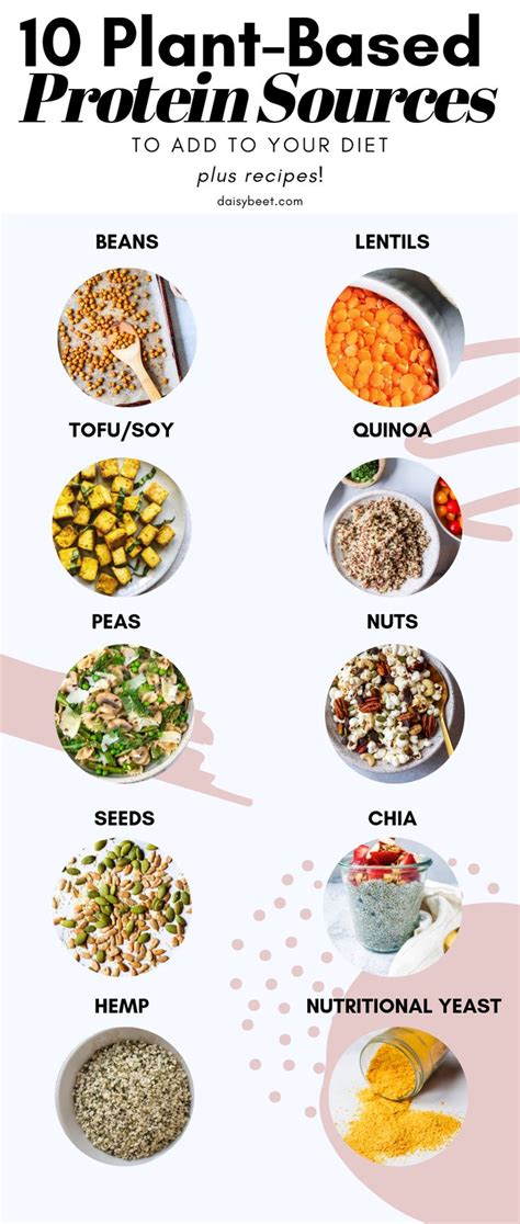 10 Plant Based Protein Sources To Add To Your Diet Plant Based Protein Sources Organic