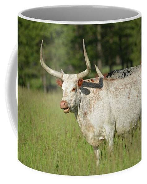 Longhorn 2 Coffee Mug By Whispering Peaks Photography Coffee Mugs