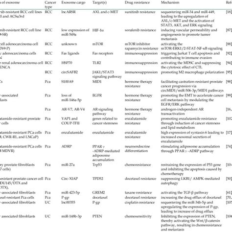 Mechanisms Underlying Drug Resistance Mediated By Exosomes In