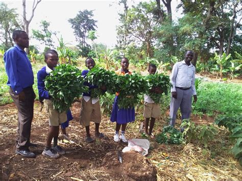 Better Lives Assisting Families Schools And Children Moshi Tz