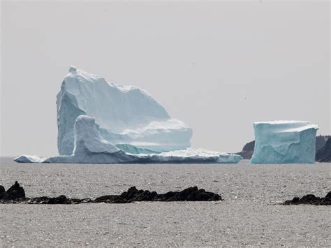 Couple Caught Camping Atop An Iceberg In Canada The Independent