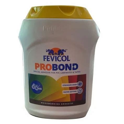 Fevicol Probond Synthetic Resin Adhesive 1kg Bucket At Rs 650kg In Pune