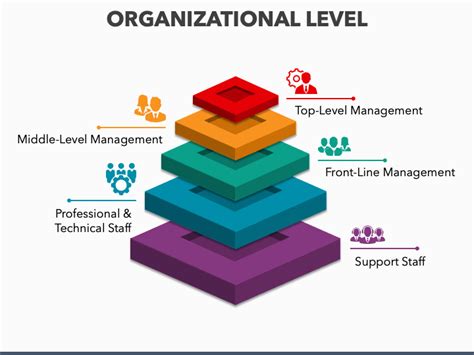 Organizational Level PowerPoint And Google Slides Template PPT Slides