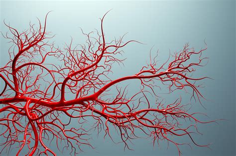 Blood Veins Art