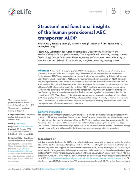 PDF Structural And Functional Insights Of The Human Peroxisomal ABC