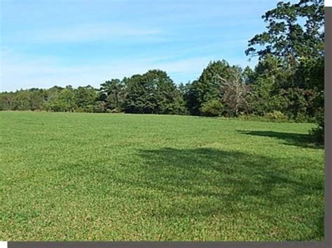 12000 Acres Cattle Farm Land Farm For Sale In Poplarville Pearl