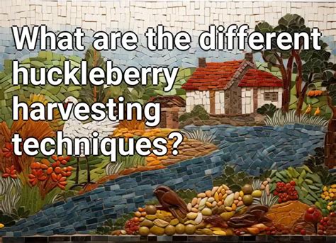 What are the different huckleberry harvesting techniques? – Agriculture.Gov.Capital