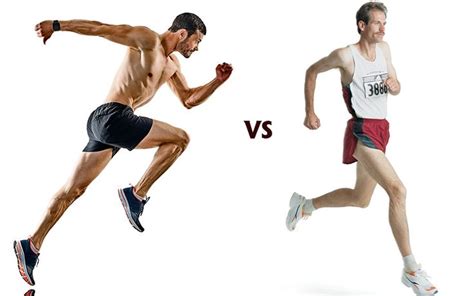 Sprinting Vs Long Distance Venn Diagram Sprinting Anatomy