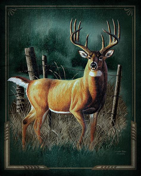 Whitetail Deer Painting by JQ Licensing - Pixels