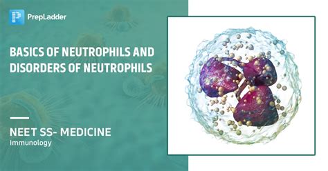 Basics Of Neutrophils And Disorders Of Neutrophils