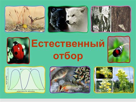 ЕСТЕСТВЕННЫЙ ОТБОР И ЕГО ФОРМЫ - CALAMEO Downloader