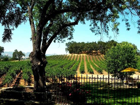 Justin Vineyards Paso Robles California Wine Country Winery Photograph