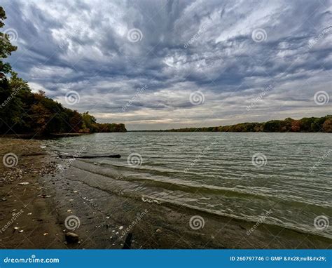 Bos Ontario Canada Stock Foto Image Of Najaar Tuin 260797746