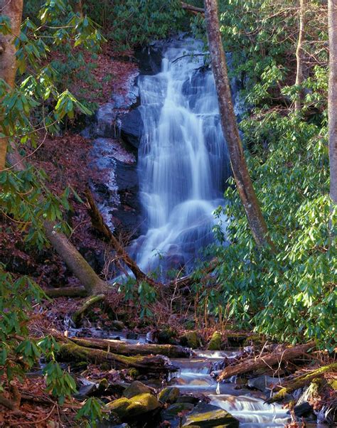 Log Hollow Falls, #waterfall in Pisgah National Forest near Asheville ...