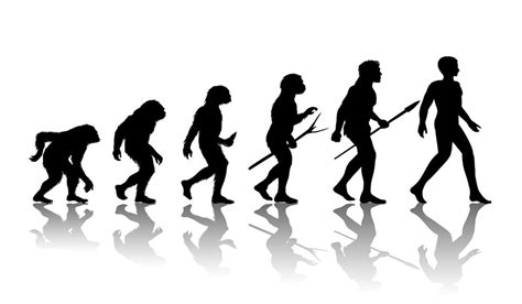 Apa Itu Evolusi Dan Bagaimana Prosesnya Terjadi