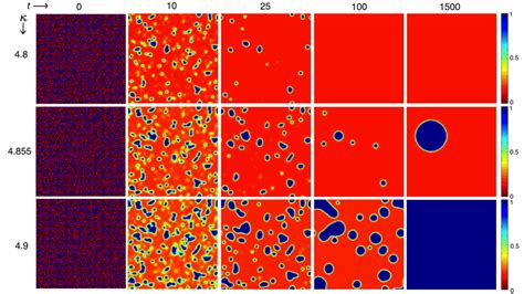 Color Online Spatio Temporal Evolution Of The Cell States U I J T