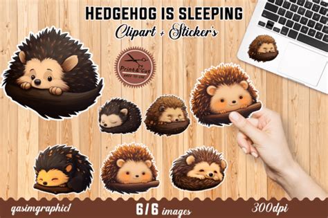 Cute Kawaii Hedgehog Printable Stickers Graphic By Qasimgraphic1 · Creative Fabrica