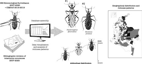 Altitudinal Distribution And Species Richness Of Triatomines Hemipterareduviidae In Colombia