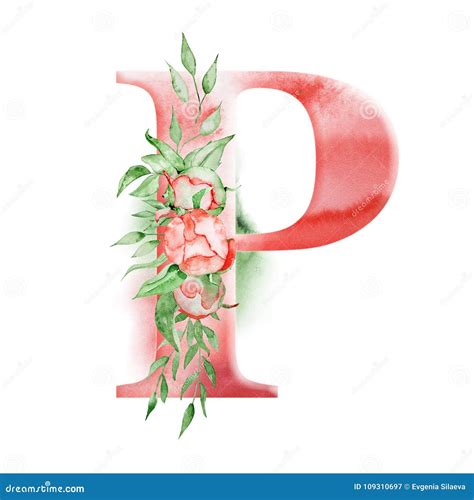 Floral Watercolor Alphabet Monogram Initial Letter P Design With Hand Drawn Peony Flower Stock