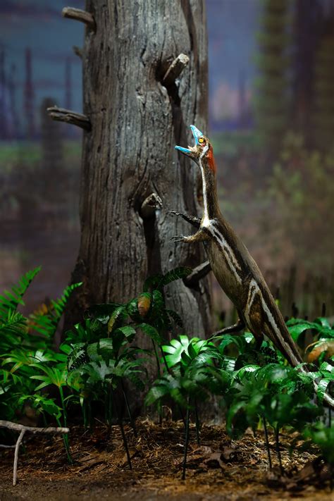 Deeptime S Dioramas Brim With Details That Bring Past Ecosystems To