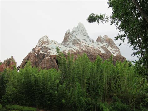 Fun Facts about Expedition Everest | | Steps To Magic