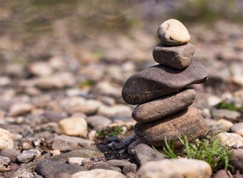 How to Build a Stone Walkway: Step by Step Guide