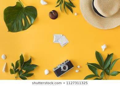 190 Sex Plane Stock Photos Images Photography Shutterstock