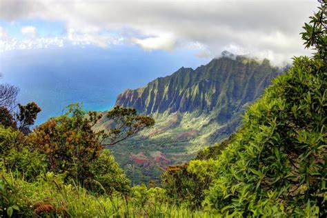 Waimea Canyon And Kokee State Park Guide To The Best Spots