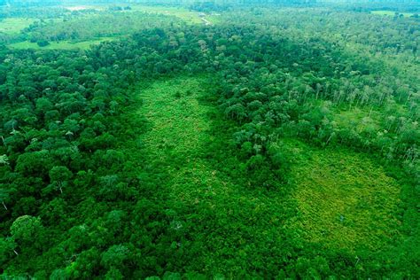 Drought In The Congo Basin Risks Triggering Positive Feedback In The