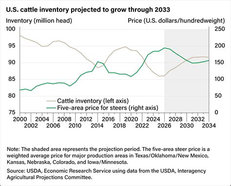Livestock Production Cycles Affect Long-Term Price Outlook for Cattle