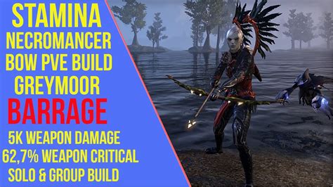 ESO Stamina Necromancer Bow PVE Build Barrage Bow PVE Guide