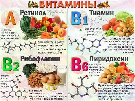 Витамины и их роль в организме человека