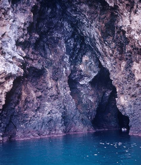 12 Surprising Channel Islands National Park Facts Guide