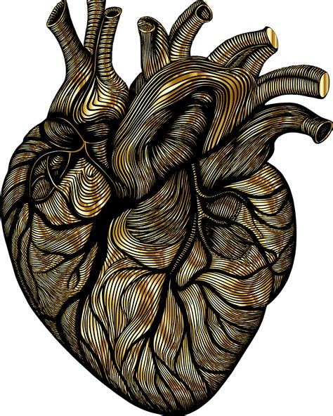 Free Heart Line Art Vector Art Download 23996 Heart Line Art Icons And Graphics Pixabay