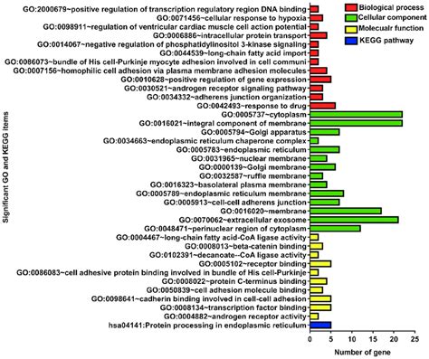 Significant GO Annotation And KEGG Pathways Of The Overlapping Genes