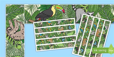 Rainforest Themed Display Borders L Enseignant A Fait