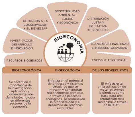 Figura 2 Narrativas en torno a la bioeconomía