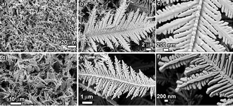 A C Fesem Images Of Cu Dendritic Structures Prepared At Room